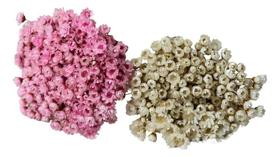 2X 2 Sempre Vivas Florzinha Rosa E Branca Flores Desidratada