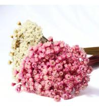 2X 2 Sempre Vivas Florzinha Rosa E Branca Flores Desidratada