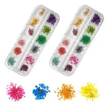 2X 24Un Flor Seca Natural Encapsulamento Em 2Cx Unhas Decora
