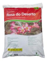 2X 2Kg Substrato Para Rosa Do Deserto Pronto Para Plantar