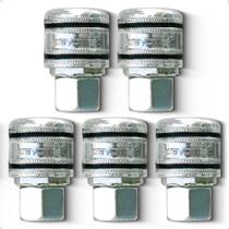 2X 5 Engate Rápido 1/4 Fêmea Compressor Chiaperini Wayne Tek