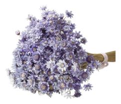 2X 600 Sempre Viva Florzinha Lilás I Flores Desidratadas