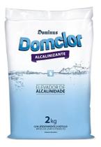 2X Alcalinizante Elevador Alcalinidade Piscina 2Kg Domclor
