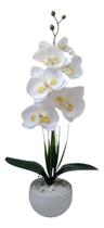 2X Arranjo Orquidea Com Vaso Pedrinhas Naturais Montado Cor