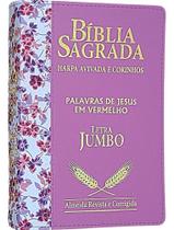 2X Bíblia Sagrada Letra Jumbo Palavras De Jesus Em Vermelho
