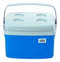 2X Caixa Térmica 12 Litros Com Termômetro Digital Vacinas