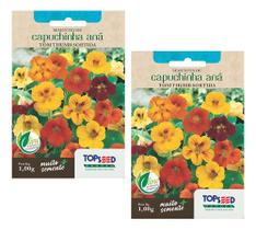 2x Capuchinha Ana Tom Thumb Sortida Comestível Colorida 1g
