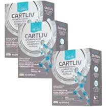 2X Cartiliv Kit C/3 Colágeno Tipoii -Hidrolizado Equaliv C/ 2X Cartiliv Kit C/3 Colágeno Tipoii -Hidrolizado Equaliv C/