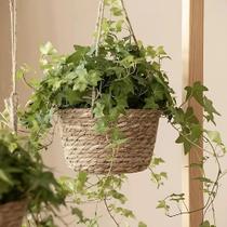 2X Cesto Vaso Cachepo De Palha Decorativo Sala Varanda Jardi