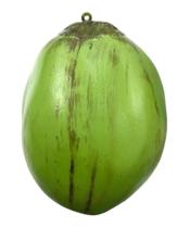 2X Côco Artificial De Plástico - Unidade