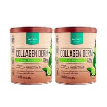 2X Colágeno Ácido Hialurônico Collagen Derm Limão Nutrify