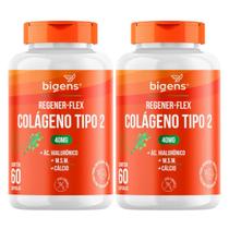 2x Colágeno Tipo II Regener Flex Bigens 60 Capsulas 2x Colágeno Tipo II Regener Flex Bigens 60 Capsulas
