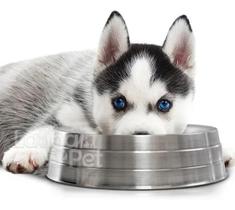 2X Comedouro De Alumínio Pesado Gigante 2800Ml