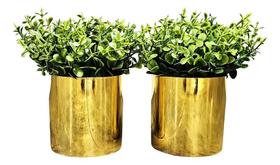 2X Decoração Sala Rack Kit 2 Vasinhos Com Planta Montado Cor 2X Decoração Sala Rack Kit 2 Vasinhos Com Planta Montado Cor