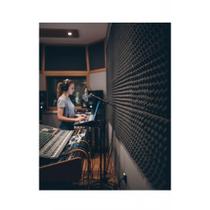 2x Espuma Acústica Perfilada 50x50cm 2cm Cinza Kit 20pç