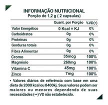 2x Extrato Café Verde 60 Caps. 500mg- Termogênico Natural