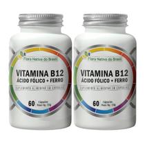 2x Ferro + Ácido Fólico + Vitamina B12 500mg 60 Caps