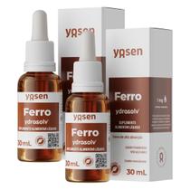 2x Ferro Bisglicinato Ydrossolv Yosen Framboesa 30ml 2x Ferro Bisglicinato Ydrossolv Yosen Framboesa 30ml