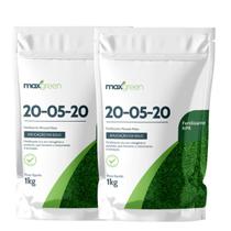 2X Fertilizante Mineral Misto NPK 20-05-20 (1Kg) MAXGREEN