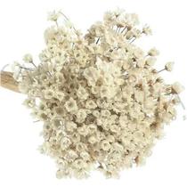 2X Flor Desidratada Sempre Viva C/600Un Branca Decoração Fes