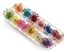 2X Flores Secas Para Decoração E Encapsulamento De Unhas Gel