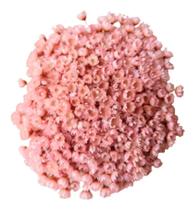 2X Flores Sempre Viva 500 Un. Rosa Claro Decoração Lembranci 2X Flores Sempre Viva 500 Un. Rosa Claro Decoração Lembranci