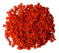 2X Flores Sempre Viva Jazida Vermelho Lembrancinha Decoraç