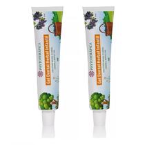2X Gel Dental Herbal Infantil sem Flúor - Phytoterapica 2X Gel Dental Herbal Infantil sem Flúor - Phytoterapica