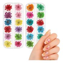 2X Kit 24 Flores Secas Naturais Para Unhas Nail Art Encapsul