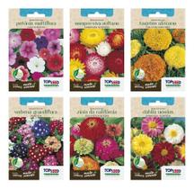 2X Kit Dália + Petúnia + Sempre Viva + Tagete + Verbena + Zi