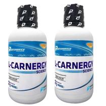 2X L Carnitina Pura (474ml) - L-Carnergy Science Liquid - Performance