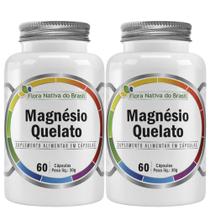 2x Magnésio Quelato Puro Concentrado 60 Cápsulas 500mg Flora Nativa do Brasil 2x Magnésio Quelato Puro Concentrado 60 Cápsulas 500mg Flora Nativa do Brasil