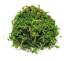 2X Musgo Artificial Para Arranjos E Jardins 1 Litro