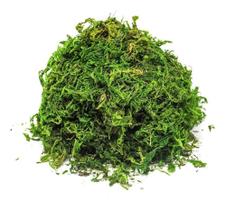 2X Musgo Artificial Verde Para Arranjos E Jardins 50G