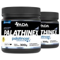 2x Palathinex 600g Sem Sabor Palatinose Pura Pó Treino Natural Baixo Índice Glicemico Nutrition Pure
