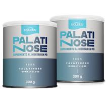 2x Palatinose Equaliv 100% Palatinose Isomaltulose 300g