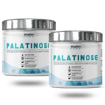 2x Palatinose Tm Pure (300g) - Bioghen