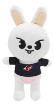 2X Pelúcia Skzoo Personagens Stray Kids Cartoon 20Cm 2X Pelúcia Skzoo Personagens Stray Kids Cartoon 20Cm