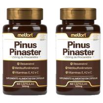 2x Pinus Pinaster Procianidina Resveratrol Msm Enxofre Vit C E K2 60 Caps 500mg - Melfort