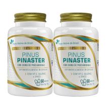 2x Pinus Pinaster Vitamina E Selênio Zinco 60 Capsulas FNB 2x Pinus Pinaster Vitamina E Selênio Zinco 60 Capsulas FNB