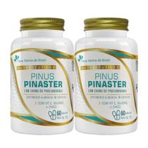2x Pinus Pinaster Vitamina E Selênio Zinco 60 Capsulas FNB