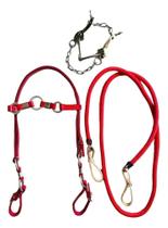 2X Rédea Cabecada Freio Inox Cavalos Quarto De Milha Acessor