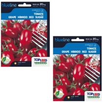 2X Semente Tomate Híbrid Grape RedSugar Gourmet(20mg)TOPSEED 2X Semente Tomate Híbrid Grape RedSugar Gourmet(20mg)TOPSEED