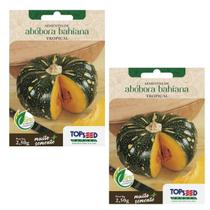 2X Sementes Abóbora Bahiana Tropical TOPSEED 2X Sementes Abóbora Bahiana Tropical TOPSEED