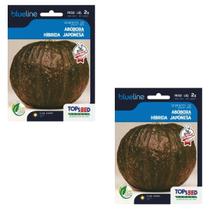 2X Sementes Abóbora Hibrida Japonesa Gourmet (2g) TOPSEED