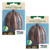 2X Sementes Abóbora Mogango TOPSEED