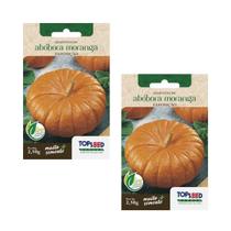 2X Sementes Abóbora Moranga TOPSEED