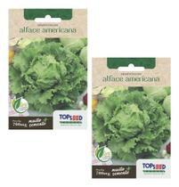 2x Sementes Alface Americana Crocante Alta Germinação Hortas E Vasos