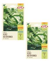 2X Sementes Alface Boston (Manteiga) Isla 2X Sementes Alface Boston (Manteiga) Isla