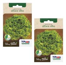 2x Sementes Alface Crespa Elba Alta Qualidade E Germinação 2x Sementes Alface Crespa Elba Alta Qualidade E Germinação